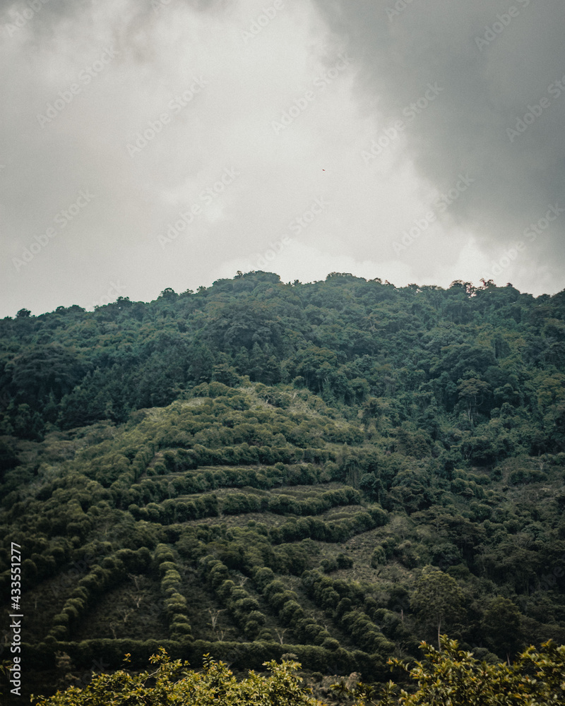 Fototapeta premium clouds over the mountains