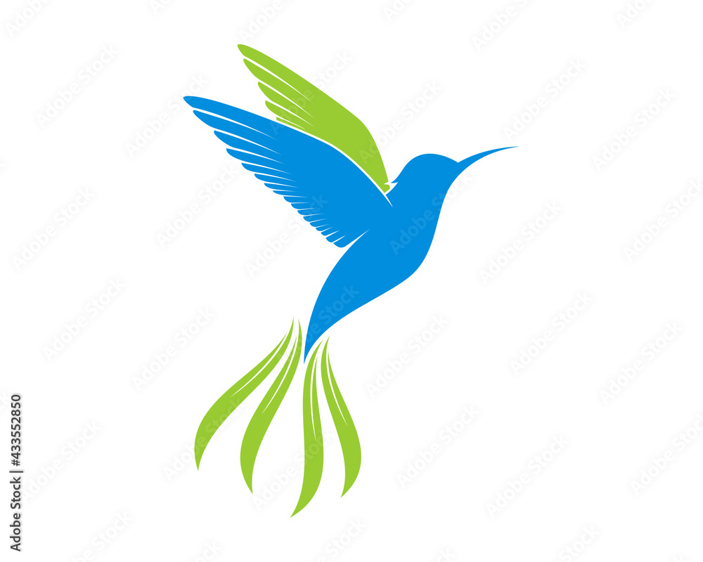 Obraz premium Flying colibri with green leaf tail vector illustration