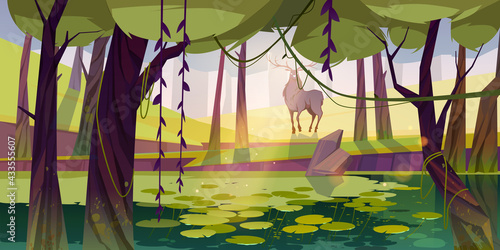 Deer in forest with swamp. Summer landscape of woodland with pond with water lilies, trees, lianas and green grass. Vector cartoon illustration of stag with antlers in park or forest with lake