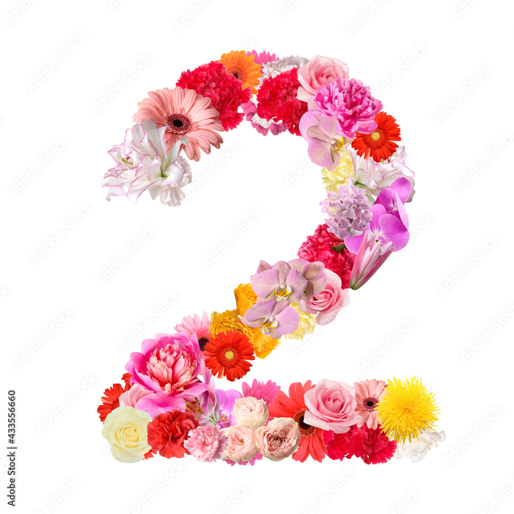 Figure 2 made of beautiful flowers on white background Figure 2 made of beautiful flowers on white background