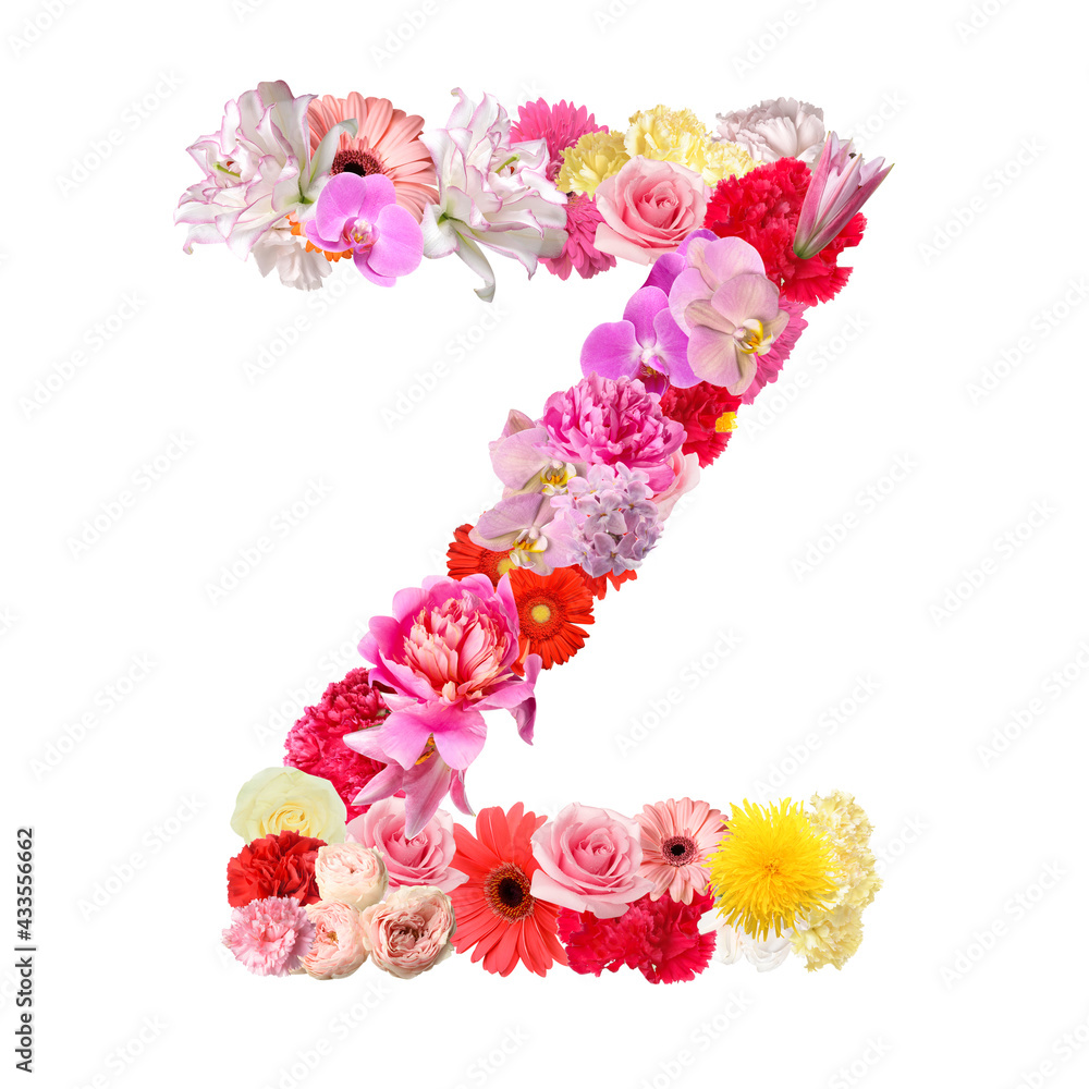 Letter Z made of beautiful flowers on white background