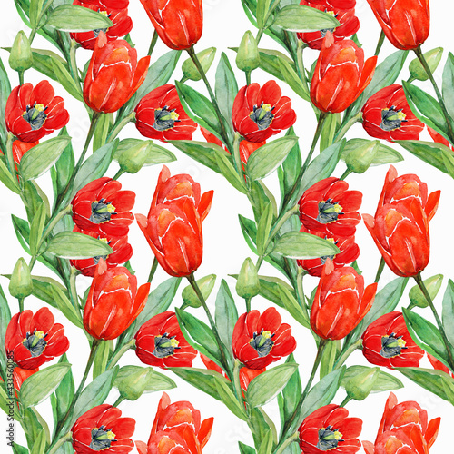 Red tulips seamless pattern.Image on a white and colored background.