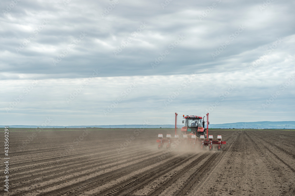 Sowing crops at agricultural fields in spring