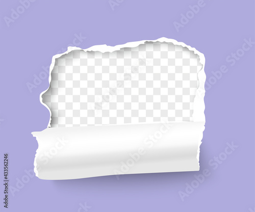 Torn paper frame. Realistic 3d vector torn hole in paper sheet on transparent background