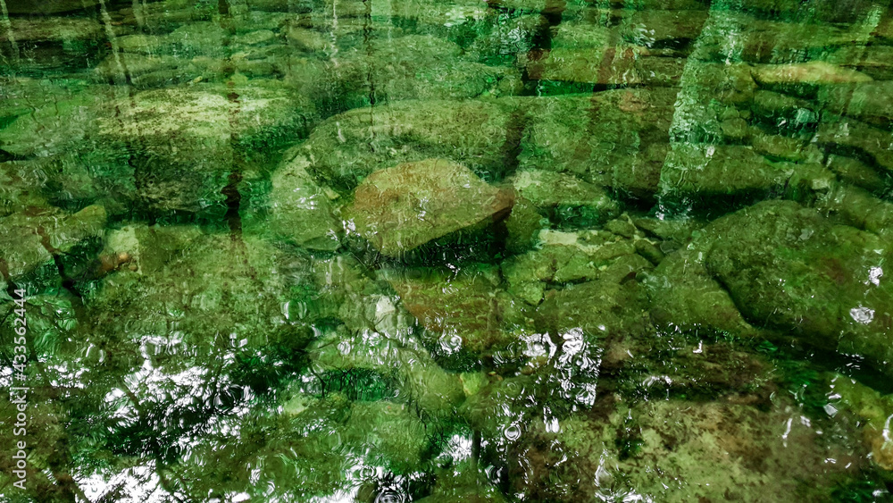 Clear river with green rocks and trees above the water surface, Nature leaves shadow over the river in the dark forest Clear river with green rocks and trees above the water surface, Nature leaves shadow over the river in the dark forest