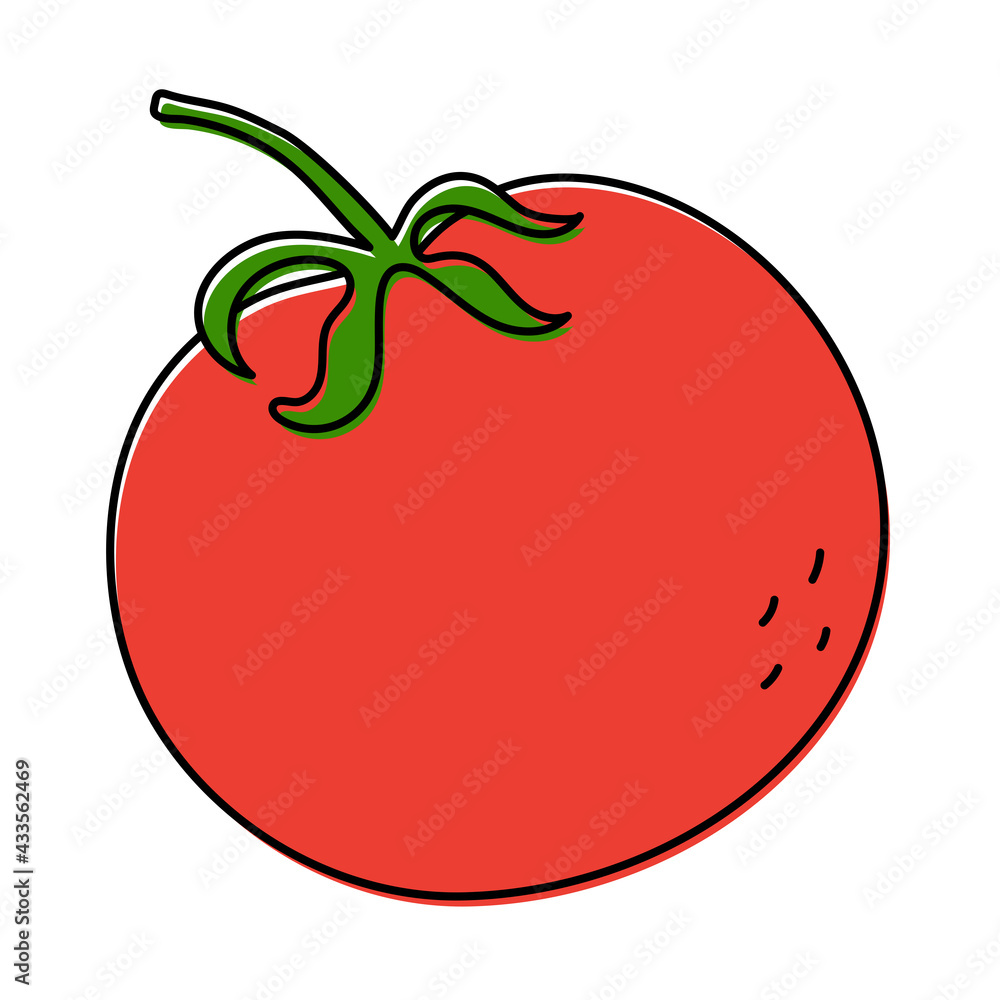 Tomato sketch. Fresh red vegetable. Vector illustration. Hand drawn doodle color icon. Healthy food. Vegetarian product Tomato sketch. Fresh red vegetable. Vector illustration. Hand drawn doodle color icon. Healthy food. Vegetarian product