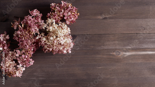 long floral banner in shabby chic style. dry inflorescences of hydrangeas on a wooden background. simple flat composition, place for text
