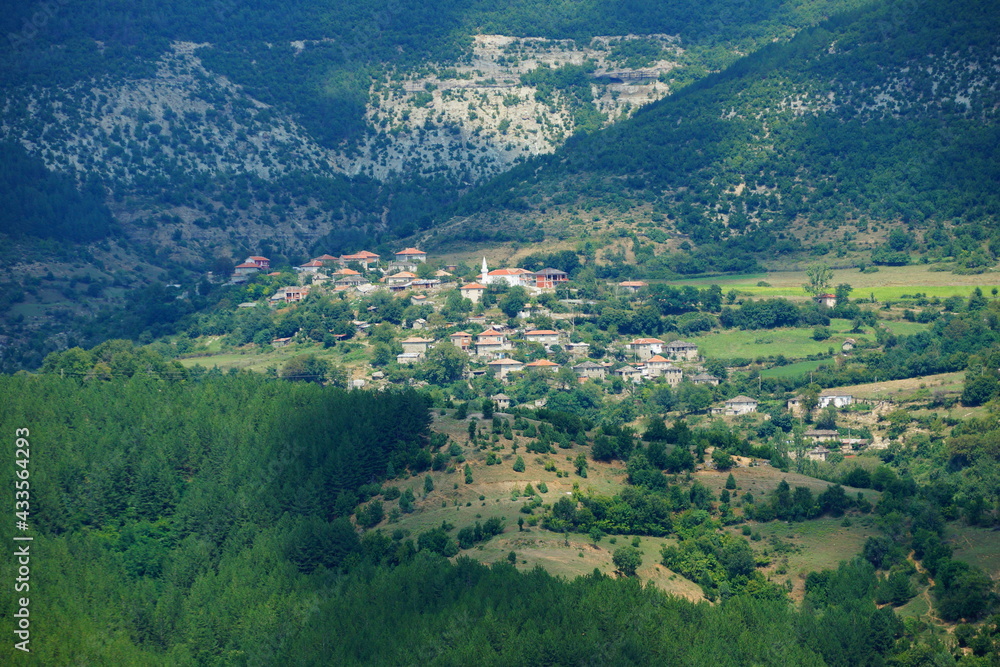 Fototapeta premium Little village in the forest