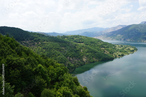 Beautiful river and forest in the nature