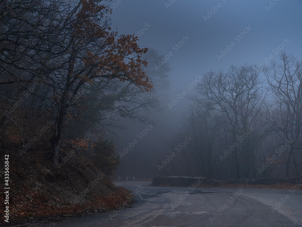 the morning autumn forest road in the fog the morning autumn forest road in the fog