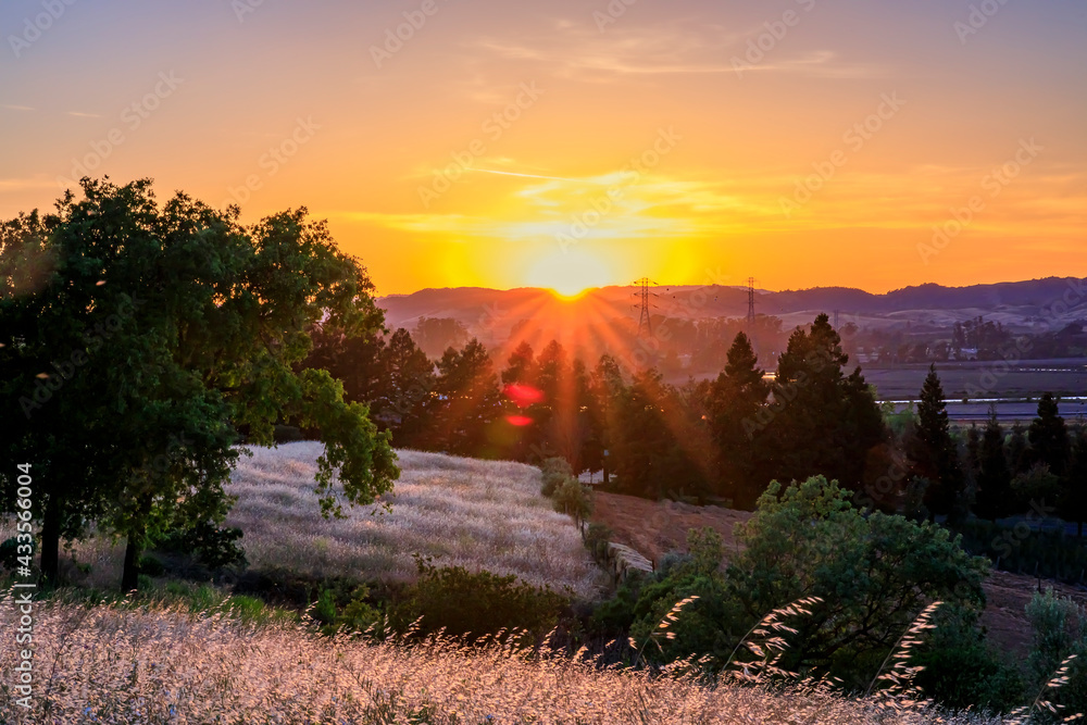 Landscape with a sun flare at sunset in Napa Valley, California, USA