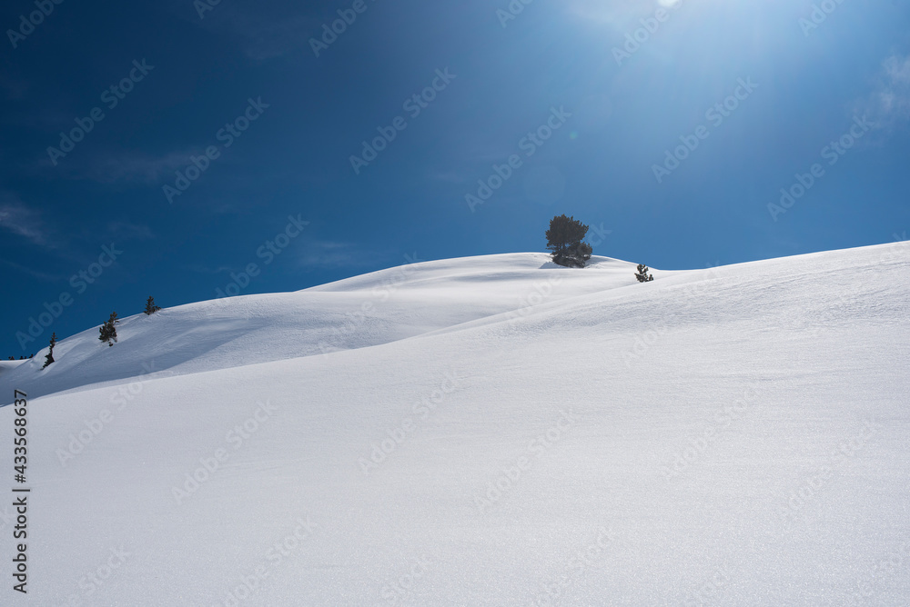 Sunlight in blue sky on top of snowy mountain with trees