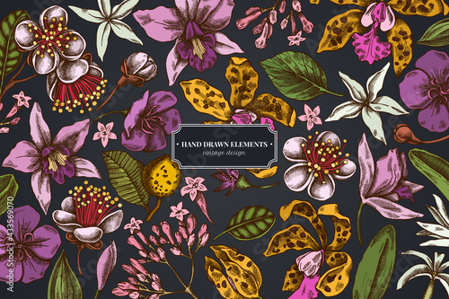 Floral design on dark background with laelia, feijoa flowers, glory bush, papilio torquatus, cinchona, cattleya aclandiae