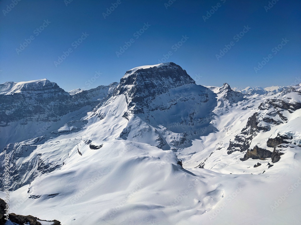 Fototapeta premium winter panorama picture from the mountain gemsairenstock towards toedi piz russein with the clariden glacier. mountains