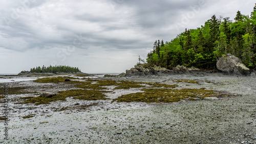 Low tide at Parc National du Bic near Rimouski in Bas St Laurent  Quebec  Canada  on a rainy and moody day