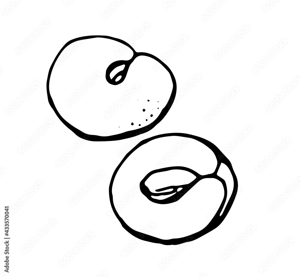 peaches, black outline drawn by pen peaches, black outline drawn by pen