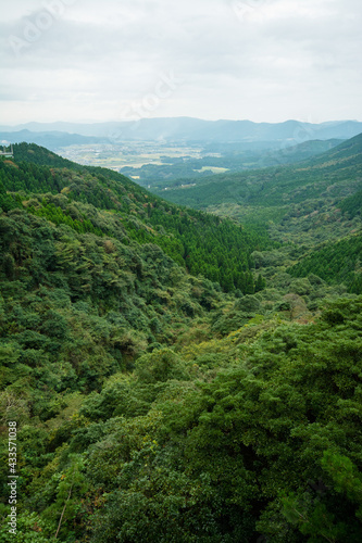 加久藤峠から見る新緑の風景