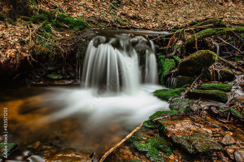 Fototapeta Naklejka Na Ścianę i Meble -  Cascades of small river stream in Orlicke Mountains,Czech republic. Long exposure water.Fresh spring mountain scenery.Untouched Czech nature.Motion blurr water in a mountain creek in deep wild forest