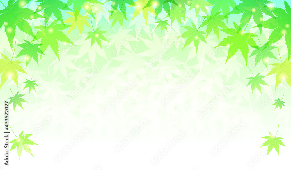 夏のもみじの爽やかなベクターイラスト背景(新緑) 夏のもみじの爽やかなベクターイラスト背景(新緑)