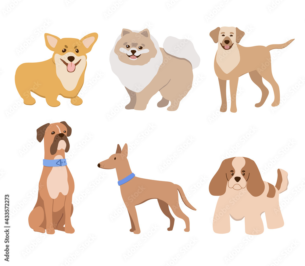 Vector illustration in flat style, set of funny purebred dogs, isolated on a white background. Cute dogs in collars stand and sit.