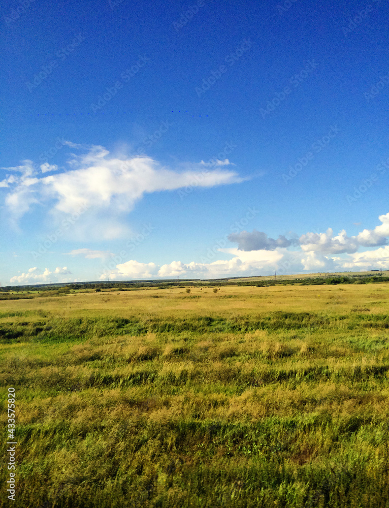 Beautiful green grass field with blue cloudy sky