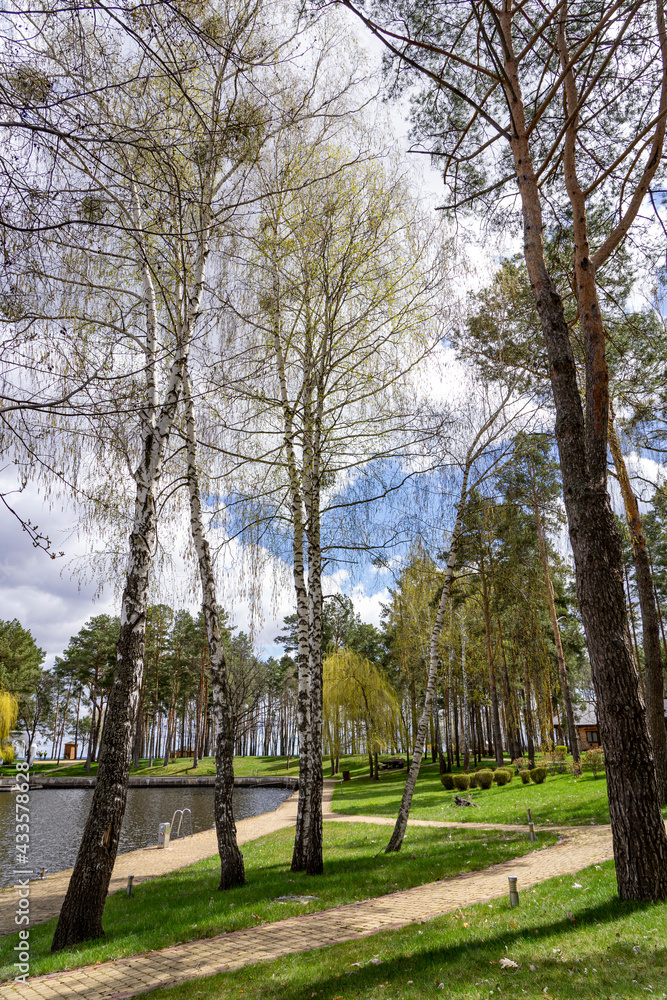 Intertwining alleys in a park with a lake and sunny weather make for a good rest. The ratio of birches and pines creates excellent air quality. Middle zone of Europe. Intertwining alleys in a park with a lake and sunny weather make for a good rest. The ratio of birches and pines creates excellent air quality. Middle zone of Europe.