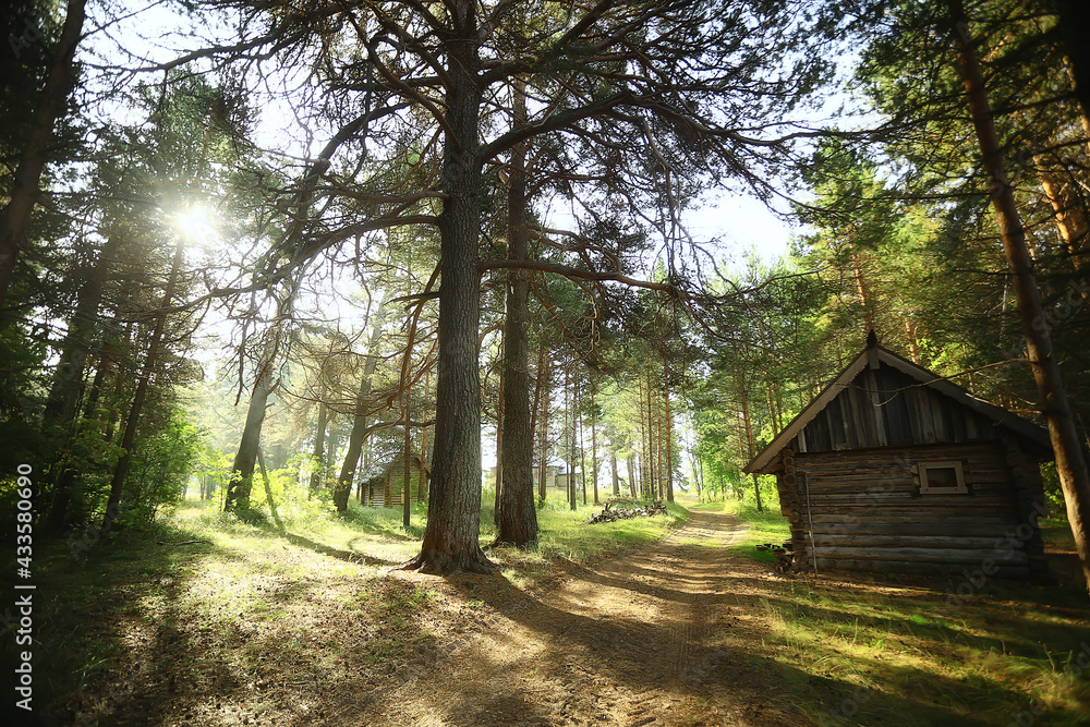 outdoor activities tourism, holiday house in a pine forest, summer landscape sunny day nature north outdoor activities tourism, holiday house in a pine forest, summer landscape sunny day nature north