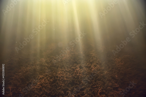 rays of light underwater fresh lake  abstract background nature landscape sun water