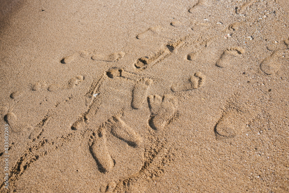 Family messy footprints on sand on the beach Family messy footprints on sand on the beach