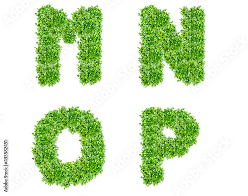 The letters M  N  O  P are made of lawn grass