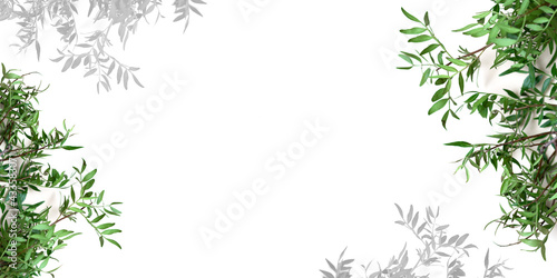 Layout of tropical pistachio leaves on a white background.