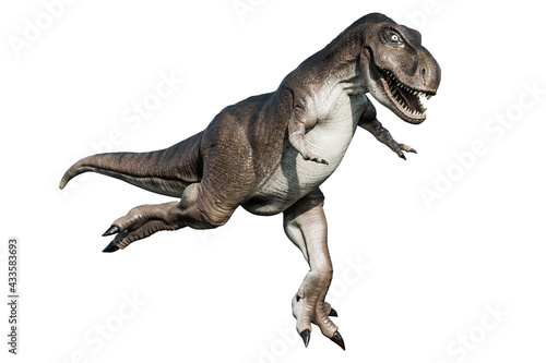 tyrannosaurus rex isolated on white