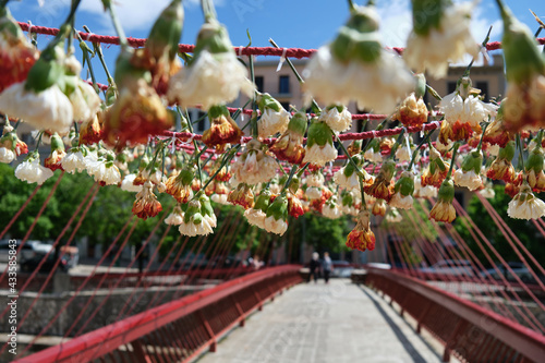 girona flower festival, temps de flors girona, catalunya. bridge decorated with flowers hanging upside down photo