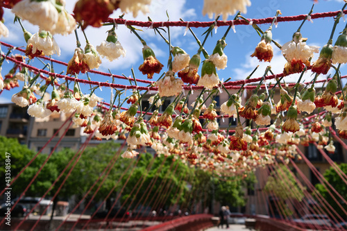 girona flower festival, temps de flors girona, catalunya. bridge decorated with flowers hanging upside down photo