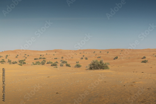 Tour durch die Wüste in der Nähe von Dubai