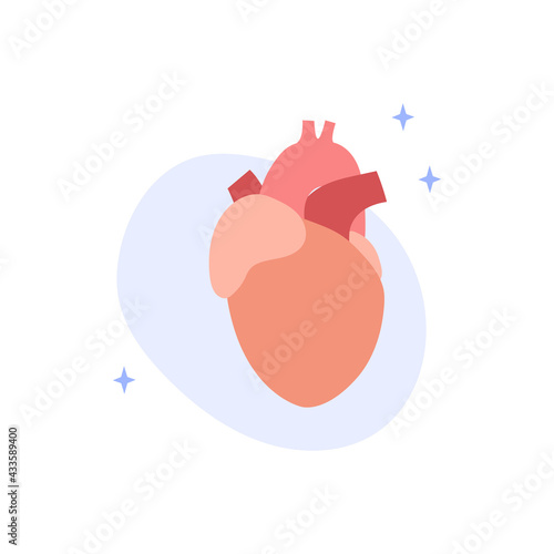 Human heart. Cardiology. Diagnostics of cardiovascular diseases. Vector flat illustration. Perfect for banner, landing page