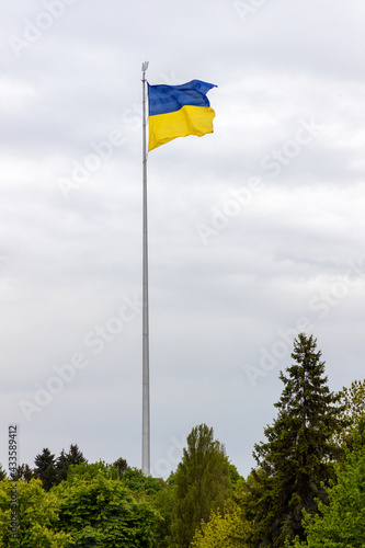 Ukraine flag against the background of the sky and trees. Vertical banner for the text about the freedom and independence of a European country.
