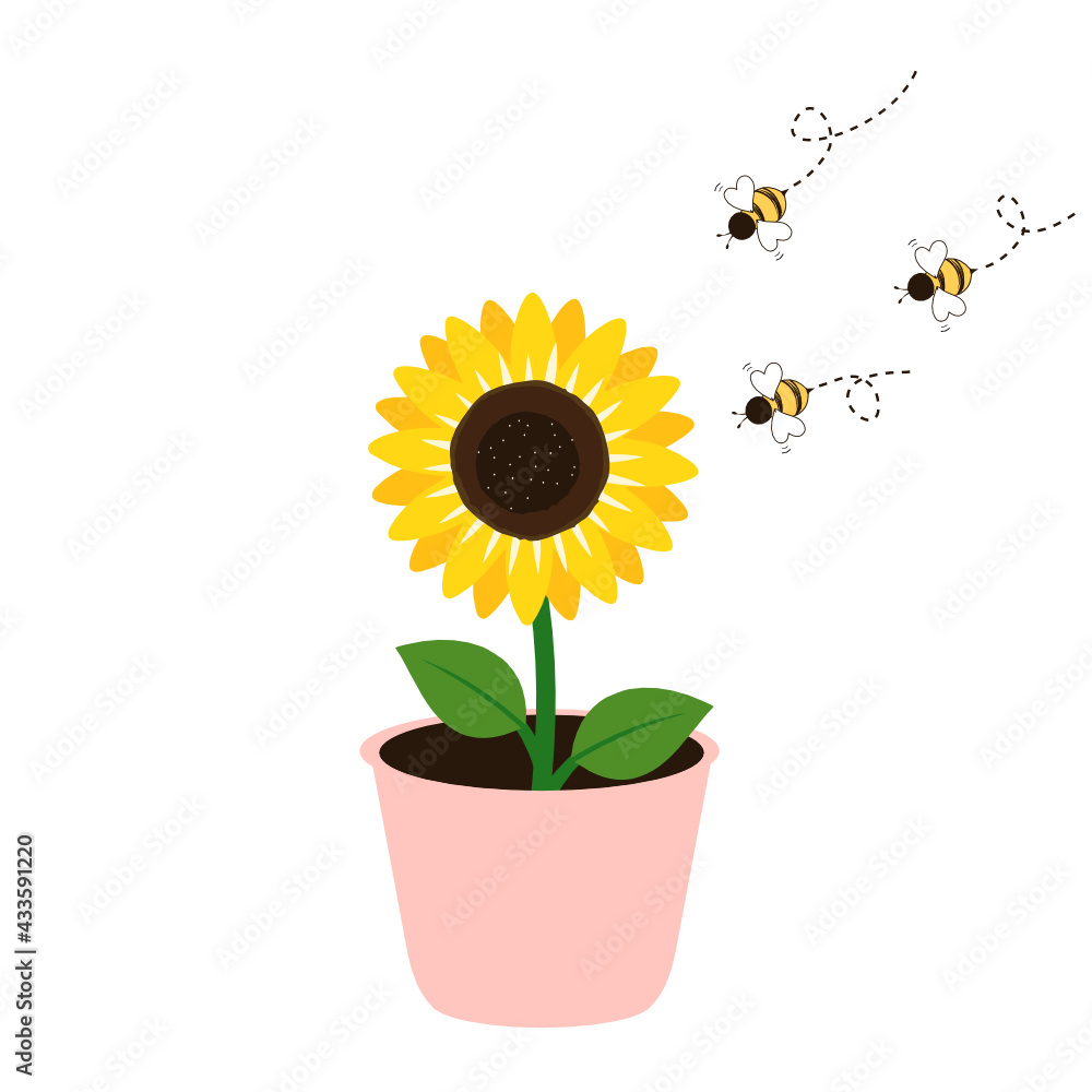 Obraz premium Sunflower pot and bee cartoons icons isolated on white background vector illustration.