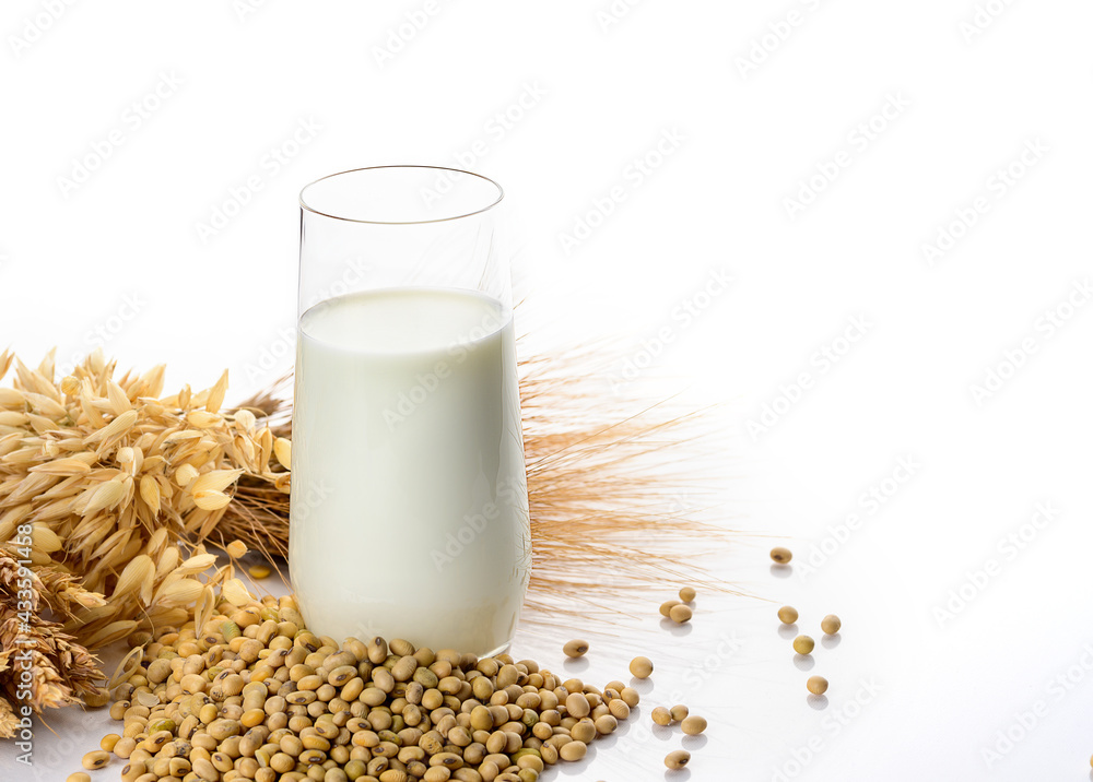 Vegan soy milk, rice milk, oat milk, dairy-free alternative milk. Soybeans and ears of cereals. Vegan soy milk, rice milk, oat milk, dairy-free alternative milk. Soybeans and ears of cereals.