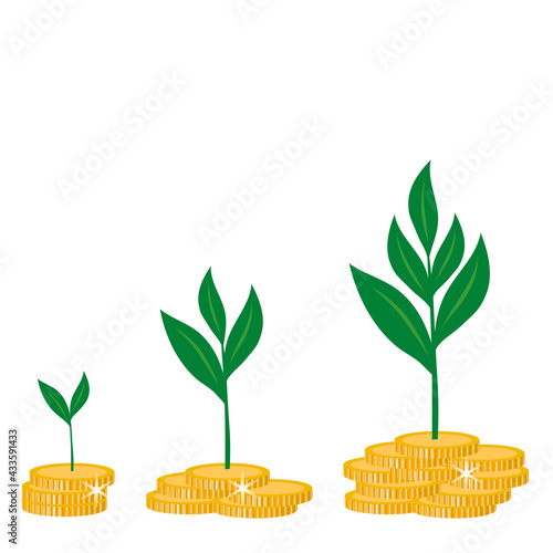 Germinating plants on gold coins. The concept of investment and finance. Increased profits with increased investment. Business growth, high return, equity expansion
