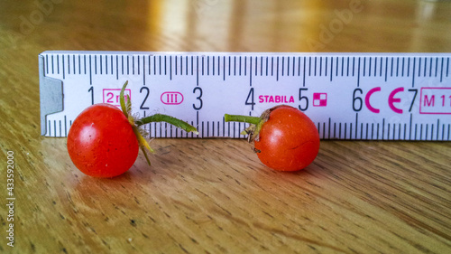 Small food, tiny tomatoes, tomberries with a yardstick, measuring tape next to it to show size, garden harvest, nature
