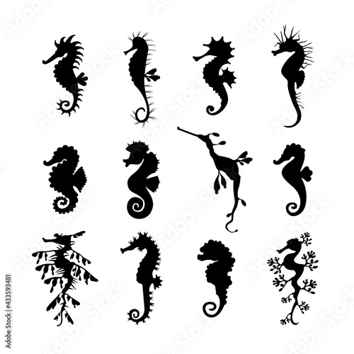 Set cute seahorses icons. Black seahorses with different silhouette on white background. For festive card, logo, children, pattern, tattoo, decorative, creative concept. Vector illustration