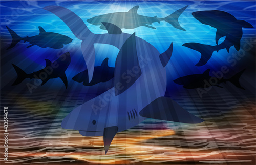 Underwater background with shark predatory fish, vector illustration
