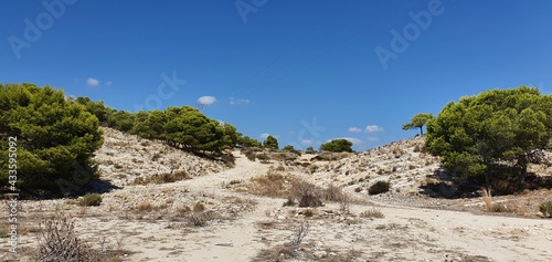 Panorámicas de la zona de Lomas de Juan XII y Parque Orgegia en Alicante durante un a salida de senderismo urbano