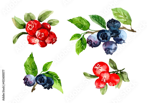   Berries of blueberries and red lingonberries on twigs with green leaves isolated on a white background. Watercolor set of ripe wild berries for packaging design, fabric, print, cards, wallpaper.