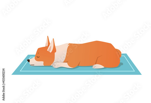 Cute cartoon sleeping dog vector. Welsh Corgi puppy resting on a blue carpet illustration. Adorable pet on white background