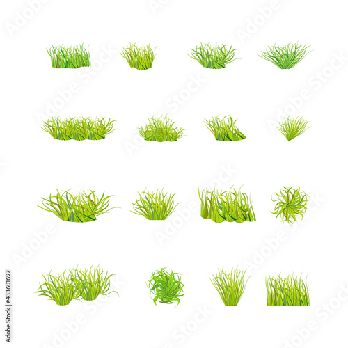 Green grass of various shapes and sizes on a white background.