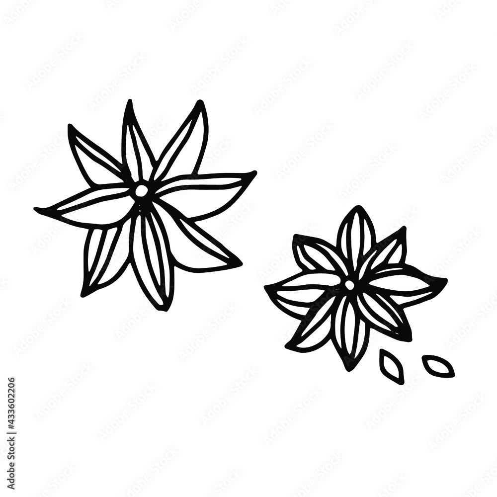 Anise seeds. Plant, flower, spice. Single element. Hand-drawn. Doodle, sketch, icon. Vector illustration for seasonal designs, menus, prints. On white background. Anise seeds. Plant, flower, spice. Single element. Hand-drawn. Doodle, sketch, icon. Vector illustration for seasonal designs, menus, prints. On white background.