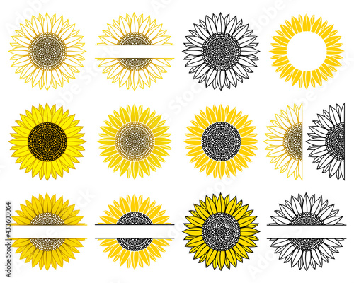 Set of sunflower. Split monogram. Vector paper cut template. Sunflower mandala. Flower silhouettes. Isolated on white background. Decorative symboll for card,printing on t-shirt,mug. For your text.
