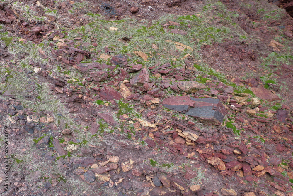 The texture of the waste rock on a mine dump. The texture of the waste rock on a mine dump.